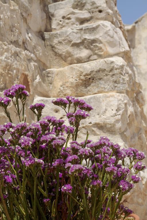 Masseria Madonna Dell'Arco Agriturismo مارتينا فرانكا المظهر الخارجي الصورة